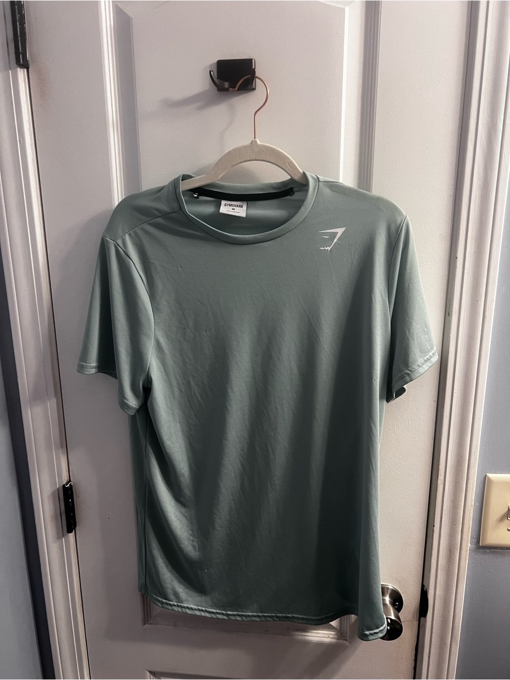 Gymshark Men's Sage Green Training Tee